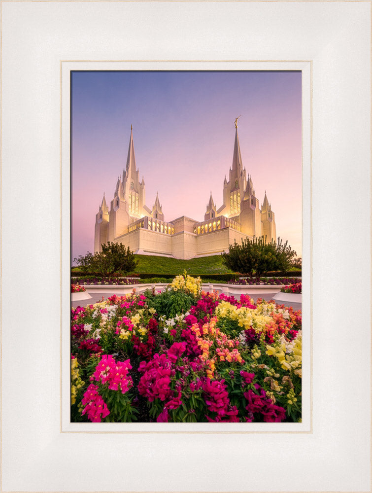 San Diego Temple - Blooming Grace