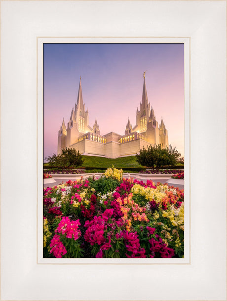 San Diego Temple - Blooming Grace