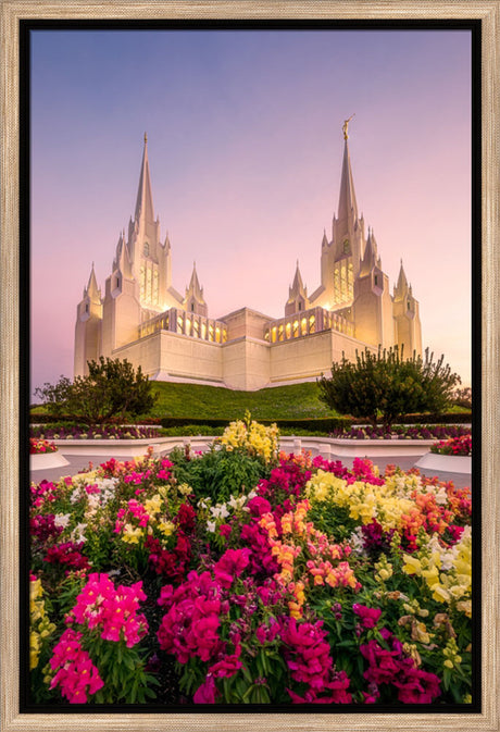 San Diego Temple - Blooming Grace