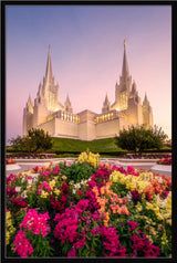 San Diego Temple - Blooming Grace