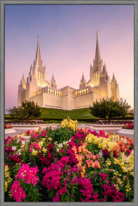 San Diego Temple - Blooming Grace