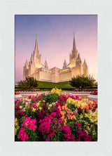 San Diego Temple - Blooming Grace