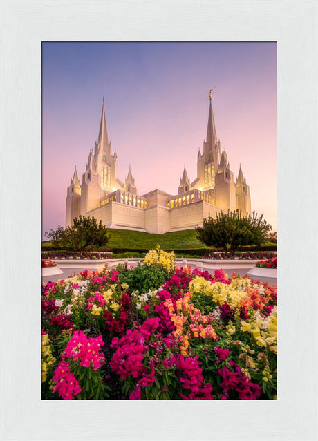 San Diego Temple - Blooming Grace