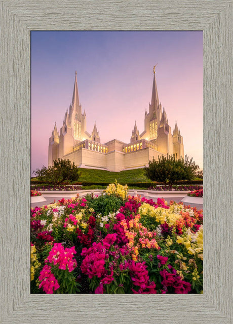 San Diego Temple - Blooming Grace