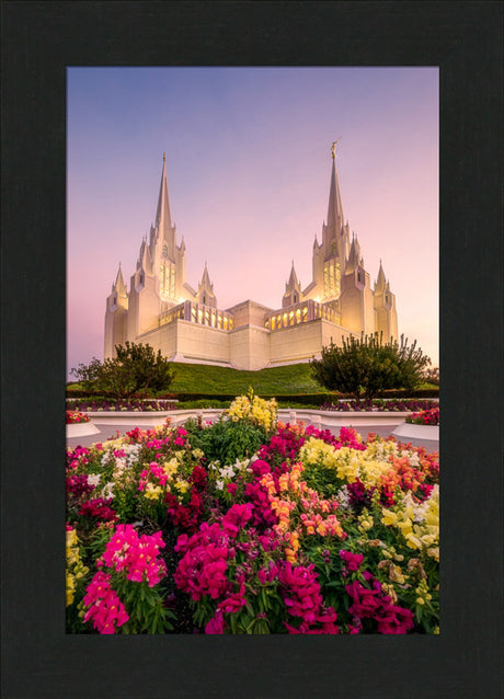 San Diego Temple - Blooming Grace