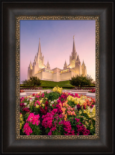 San Diego Temple - Blooming Grace