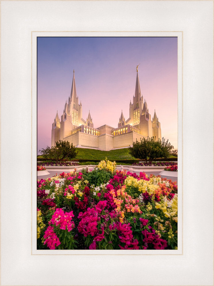 San Diego Temple - Blooming Grace