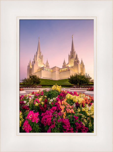 San Diego Temple - Blooming Grace