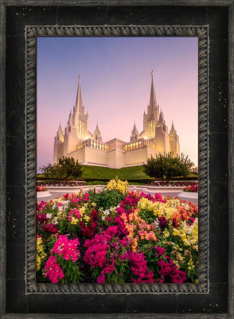 San Diego Temple - Blooming Grace