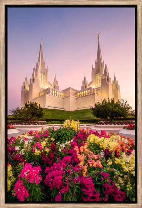 San Diego Temple - Blooming Grace