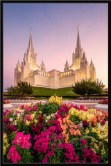 San Diego Temple - Blooming Grace
