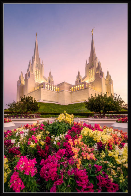 San Diego Temple - Blooming Grace