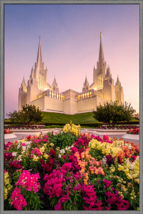 San Diego Temple - Blooming Grace