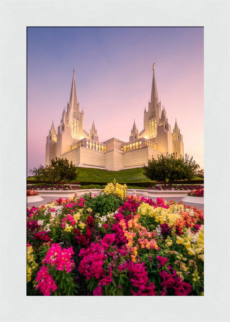 San Diego Temple - Blooming Grace