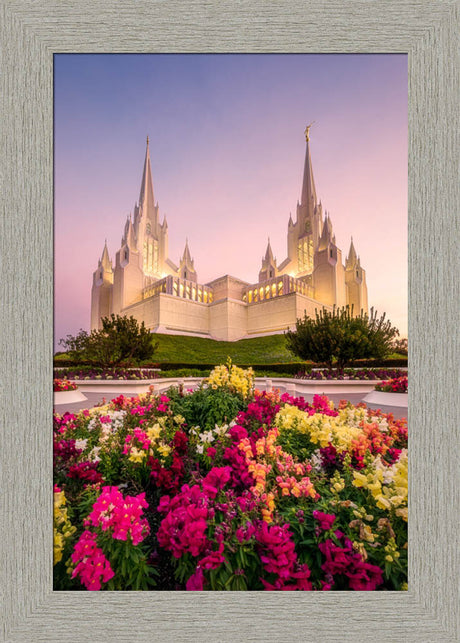 San Diego Temple - Blooming Grace
