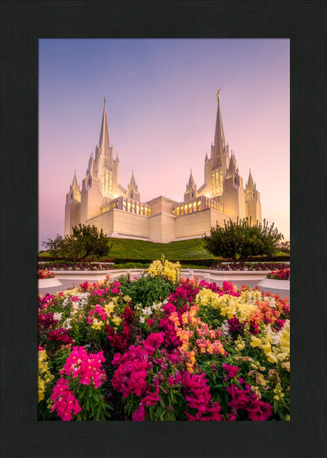 San Diego Temple - Blooming Grace