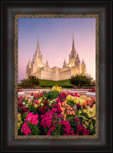 San Diego Temple - Blooming Grace