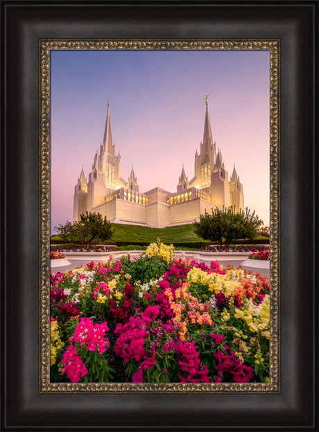 San Diego Temple - Blooming Grace