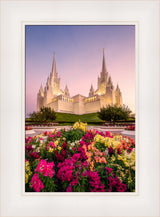 San Diego Temple - Blooming Grace