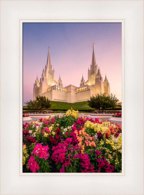 San Diego Temple - Blooming Grace