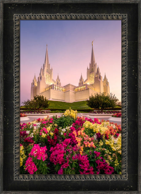 San Diego Temple - Blooming Grace
