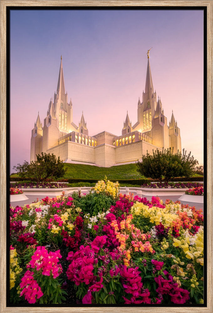 San Diego Temple - Blooming Grace