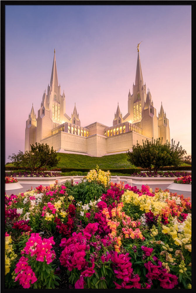 San Diego Temple - Blooming Grace