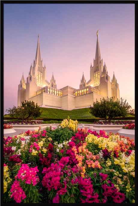 San Diego Temple - Blooming Grace