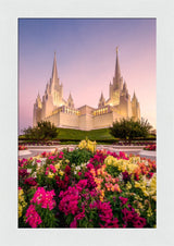San Diego Temple - Blooming Grace