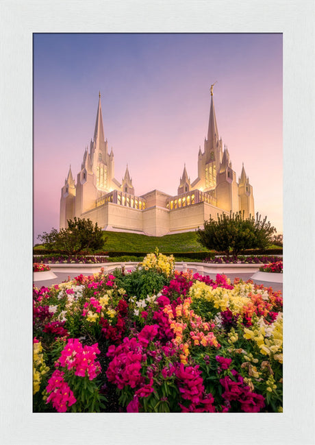 San Diego Temple - Blooming Grace