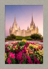 San Diego Temple - Blooming Grace
