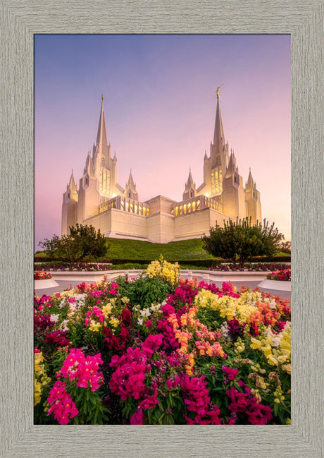 San Diego Temple - Blooming Grace