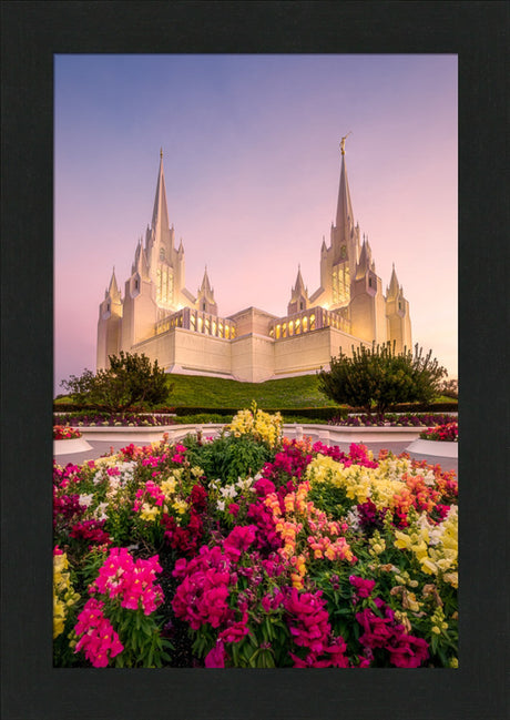 San Diego Temple - Blooming Grace