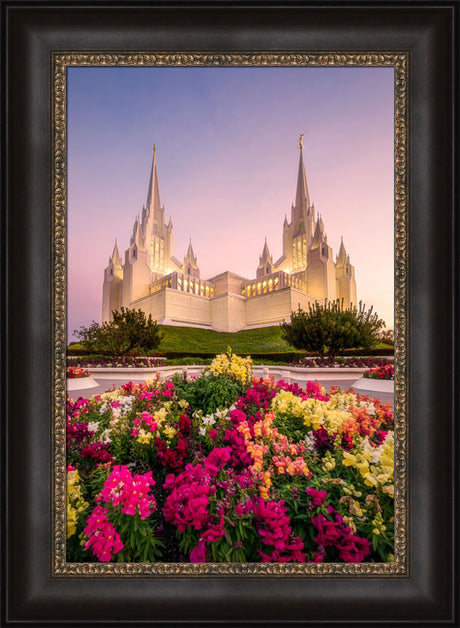 San Diego Temple - Blooming Grace