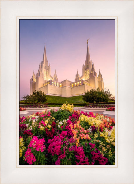 San Diego Temple - Blooming Grace