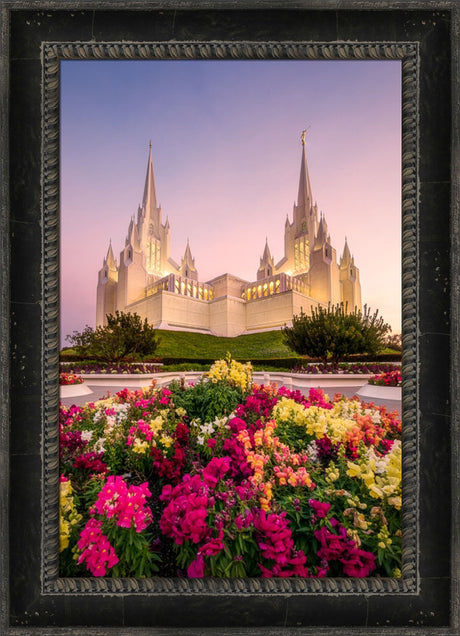 San Diego Temple - Blooming Grace