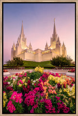 San Diego Temple - Blooming Grace