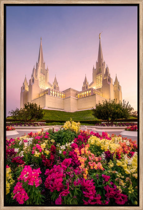 San Diego Temple - Blooming Grace