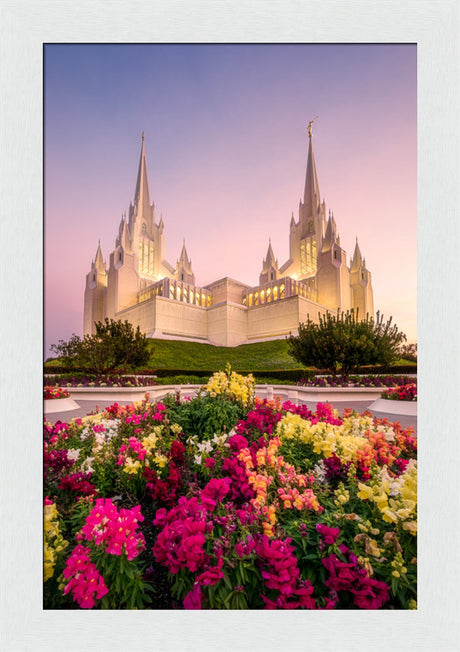 San Diego Temple - Blooming Grace