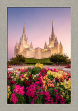 San Diego Temple - Blooming Grace