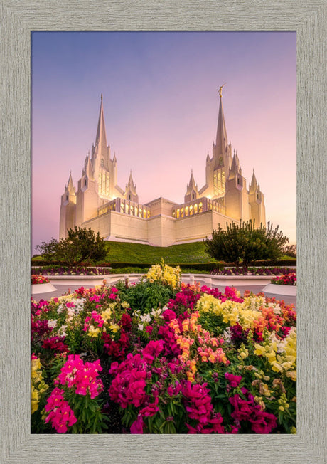 San Diego Temple - Blooming Grace