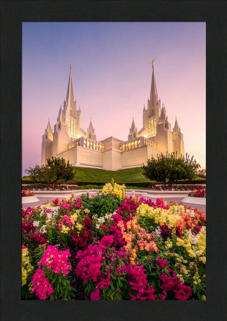 San Diego Temple - Blooming Grace