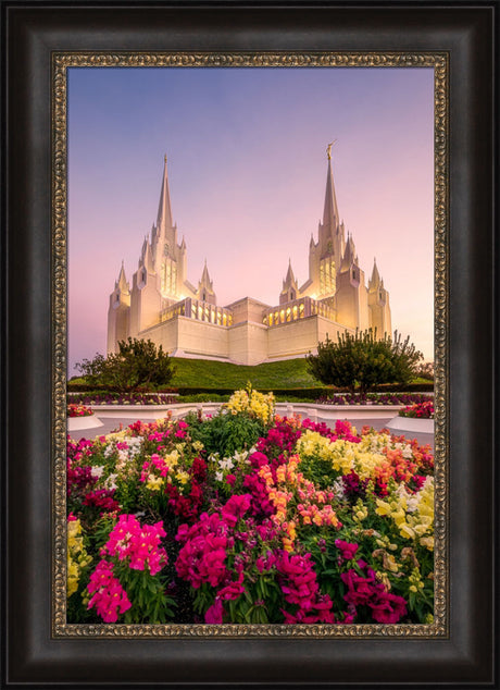 San Diego Temple - Blooming Grace