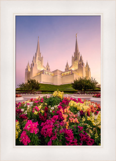 San Diego Temple - Blooming Grace
