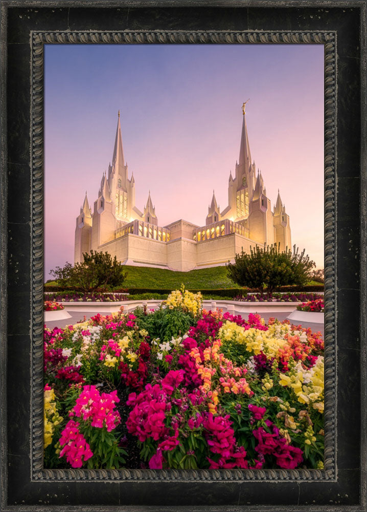 San Diego Temple - Blooming Grace