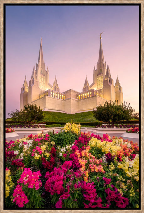 San Diego Temple - Blooming Grace