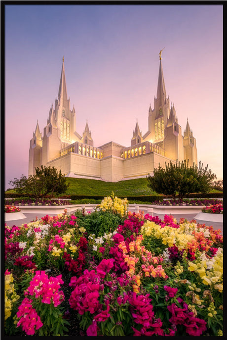 San Diego Temple - Blooming Grace