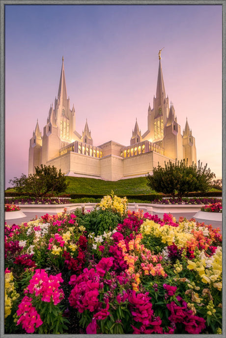 San Diego Temple - Blooming Grace