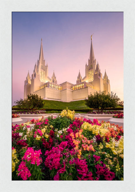 San Diego Temple - Blooming Grace