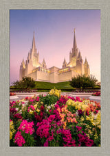 San Diego Temple - Blooming Grace